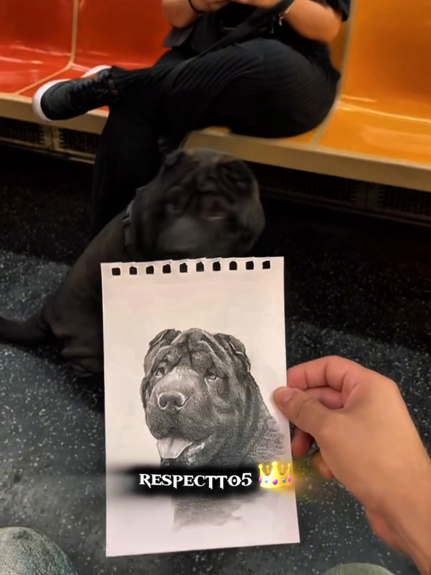 respect ❤🥺😱🙏  #foryouu #foryoupage #respect #drawing #fyp @respectto5 👑 