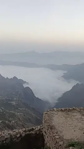 بلادي الحبيبه 