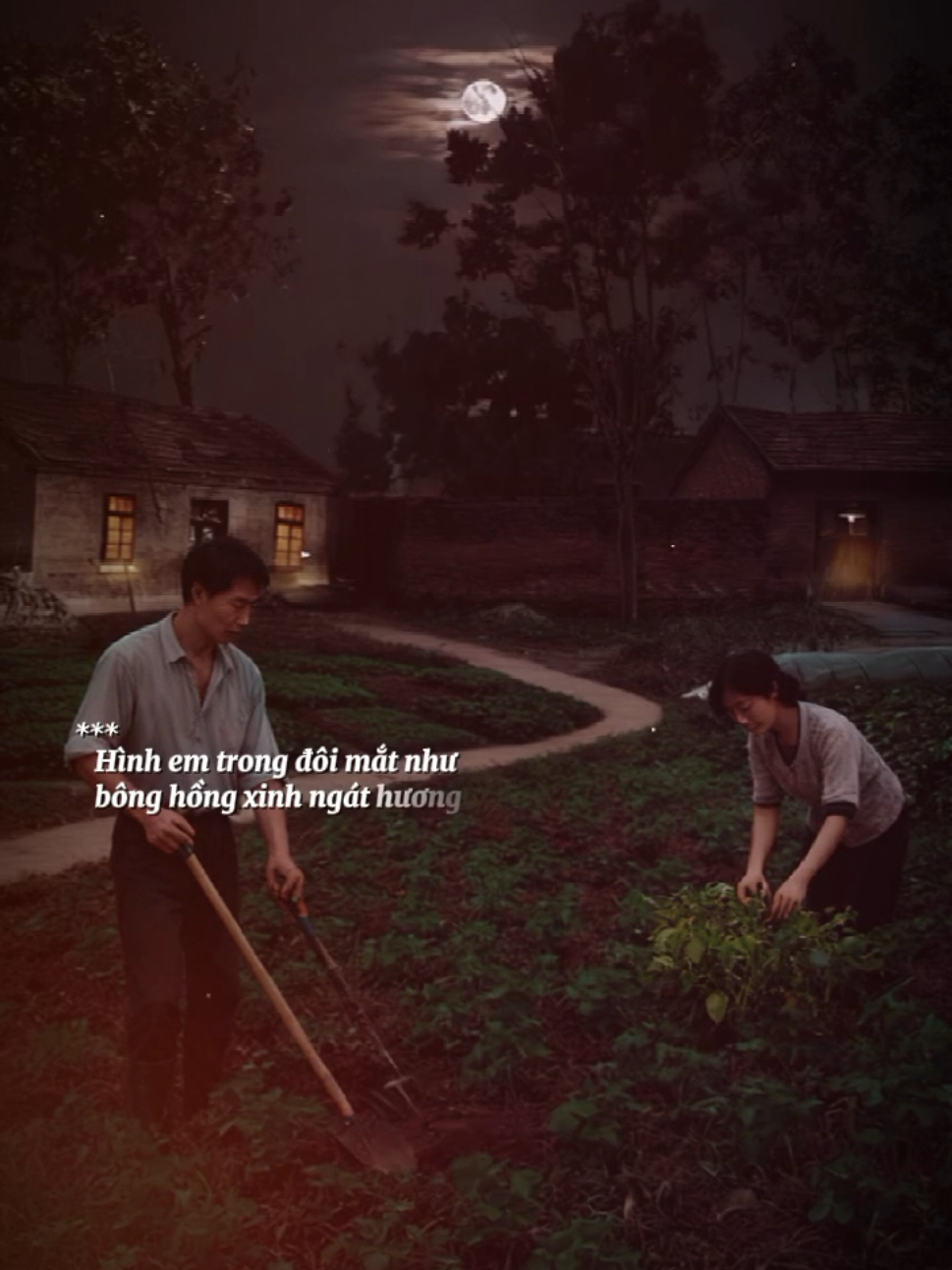 Dù phong ba muôn lối tình phu thê thắm nồng...!! #nhactamtrangbuon #nhachay🎶 #nhachaymoingay #binganhoa💔 #videotamtrang💔 