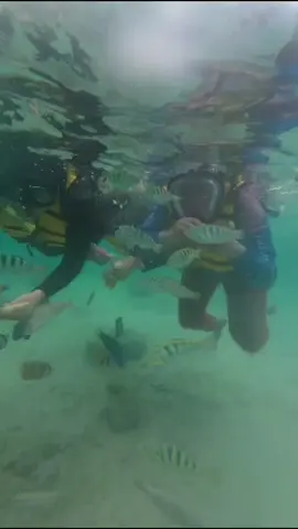 @sortan💫 #pantaipink #real #fyppppppppppppppppppppppp #TTPetualangPro 