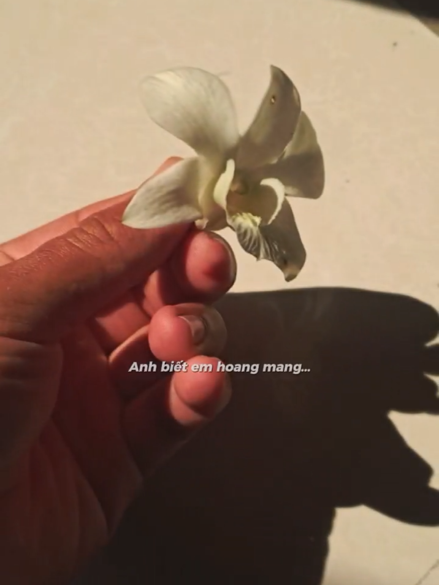 Anh biết em hoang mang làm người lớn có đâu dễ dàng... #quyenyeuduoi #nhaccuanghia #cover #xuhuong #CapCut 