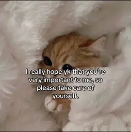 #foryou #viral #catlover #cutecats #vibes 