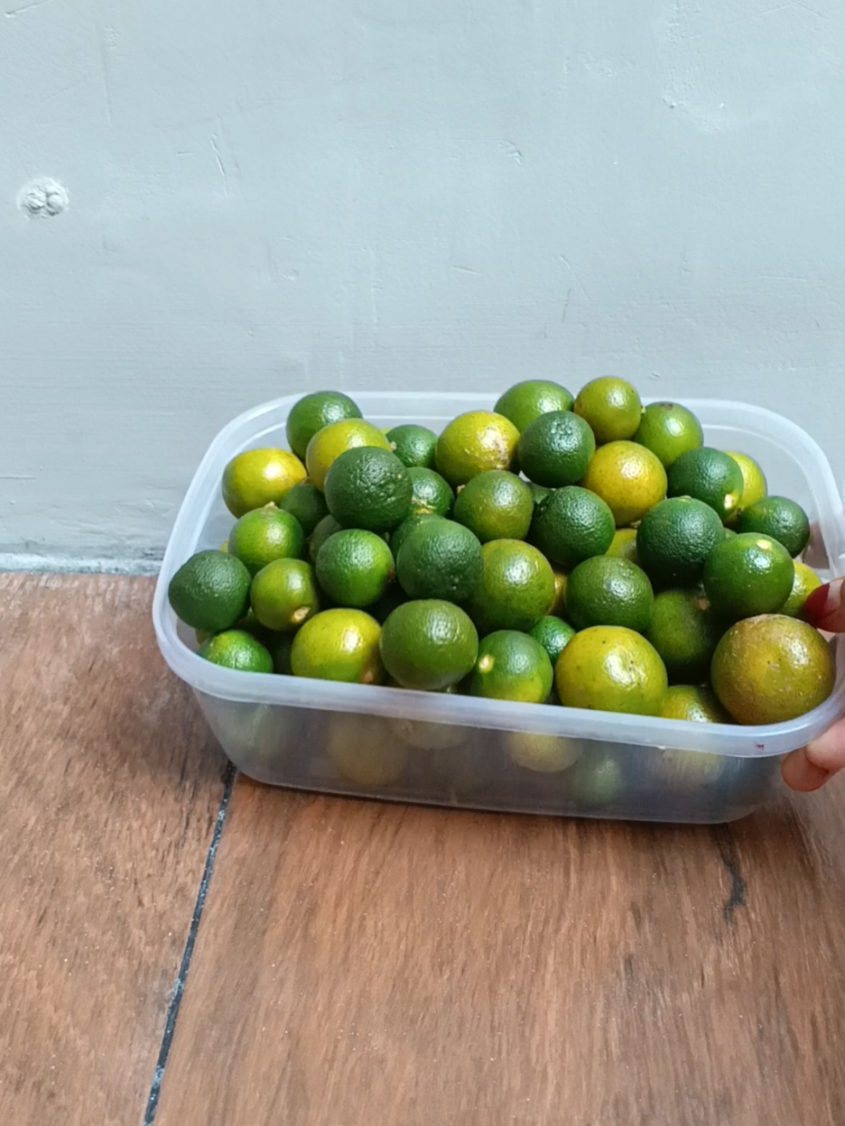 baru pertama beli buah online, Dan Alhamdulillah bagus..  #jeruksonkit  #jerukkasturi  #sipalingafiliate  #modalkontendoang 