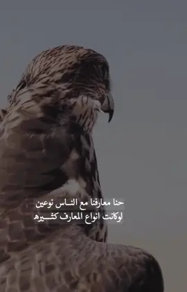#حنا معارفنا مع الناس نوعين#الجنوبي 