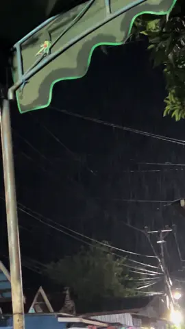 Abaikan Suara yg Mingasang Ni.🤭🤭🤦‍♂️