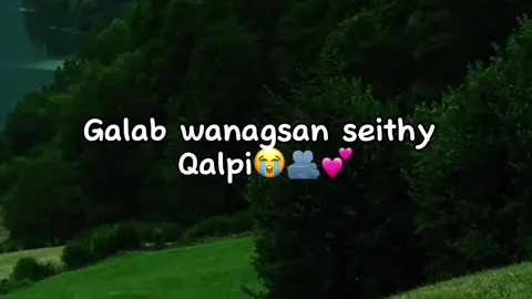 Seithy qalpi😭🌹#jawi_bila🌊❤️🌴jawiga_jawiyada_eryaday🌴❤️#mohamed🤤💦 