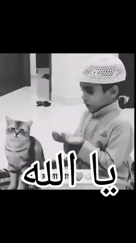 #pov #viraltiktok #football #100kfollowers #🤲🤲🕋🕋🤲🤲 @🤲🕋Jasmine🍁 🍂  ﷺݪ 🍂 🍁 @🤲 Rupa🤲 ﷺݪ @🤲 Rupa🤲 ﷺݪ @🤲 Rupa🤲 ﷺݪ 