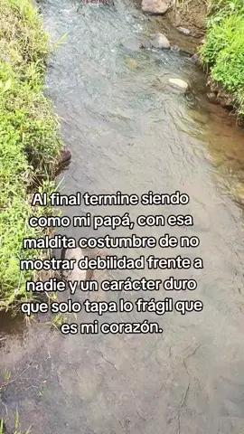 #sigueme y te sigo ✌️