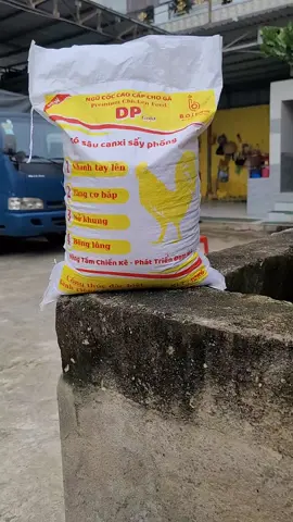 Ngũ cốc cò sâu sấy cho gà DP Gold #ngucocga #ngucocgadp #ngucocgada #ngucocdaiphat 