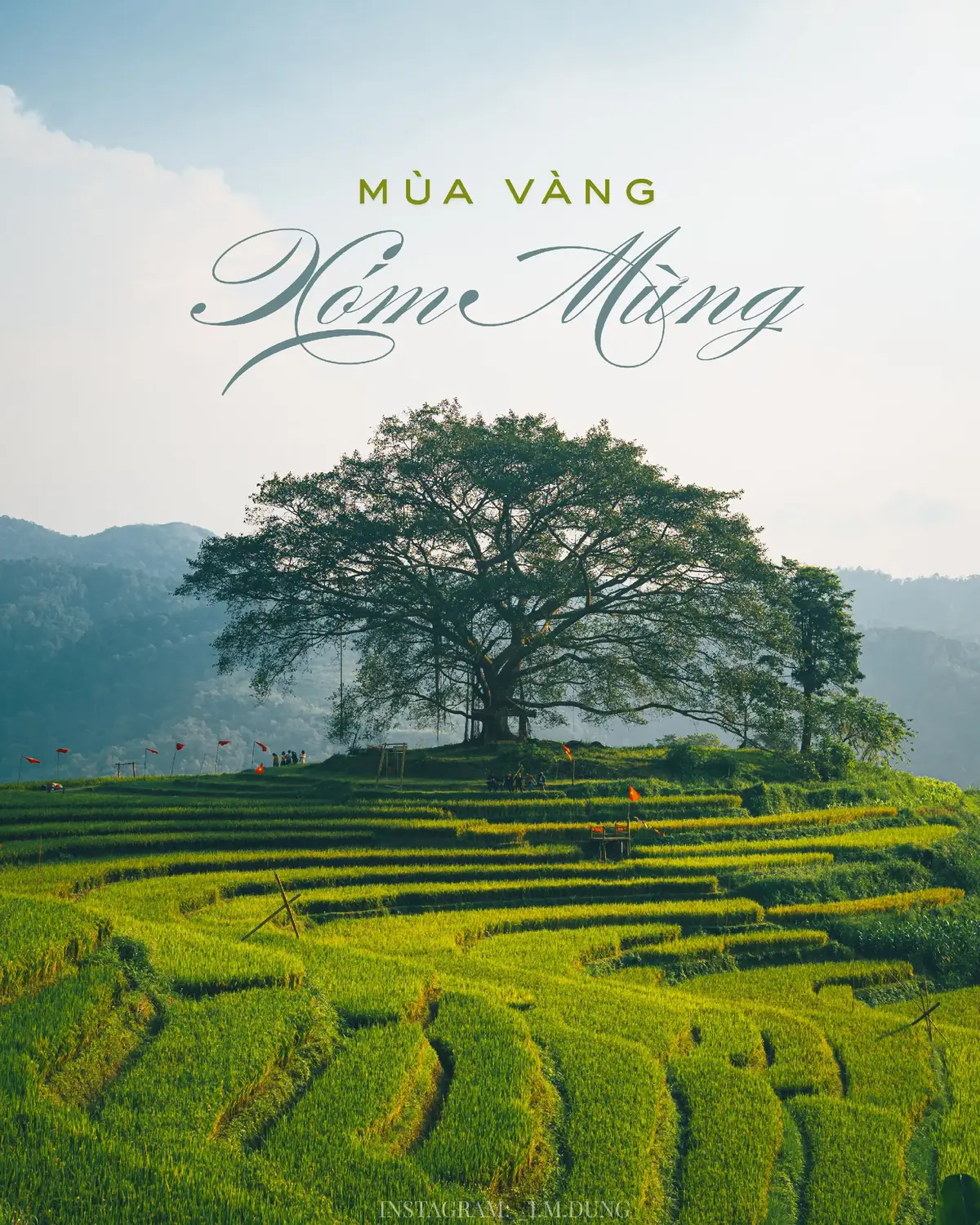 1 tọa độ ngắm lúa chín cực gần Hà Nội đây ạh 🥰🥰🥰 Các bạn hoàn toàn có thể tự đi xe máy hoặc tự lái ô tô riêng đến tận điểm checkin đó ạ Khi lần đầu đặt chân đến xóm Mừng ở Hòa Bình, mình đã bị cuốn hút ngay bởi vẻ đẹp hoang sơ và bình yên nơi đây. Những thửa ruộng bâc thang đang dần ngả sang màu vàng óng, như một tấm thảm lụa mượt mà dưới ánh nắng , tạo nên một bức tranh đồng quê đầy thơ mộng.  Dọc theo mép ruộng, một con đường nhỏ với lá cờ đỏ sao vàng bay phấp phới, như điểm nhấn duyên dáng giữa không gian thanh bình. Người dân nơi đây cũng vô cùng thân thiện, khiến mỗi khoảnh khắc của tớ ở đây trở nên ý nghĩa và sâu lắng hơn bao giờ hết. Còn khoảng 2 tuần tính từ lúc tớ post bài là Xóm Mừng lúa sẽ đẹp nhất nha  #xommung #mualuachin #checkinvietnam #imdung #ongchulangthang 