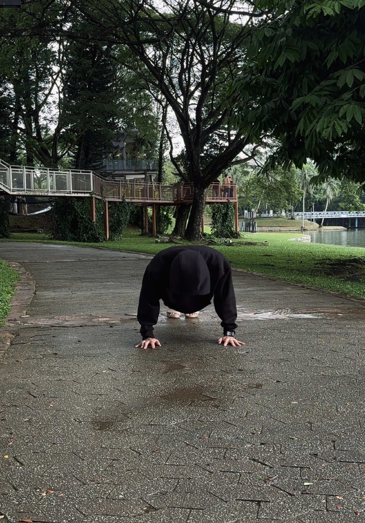 #motivation #discipline #consistency #training #boxing 