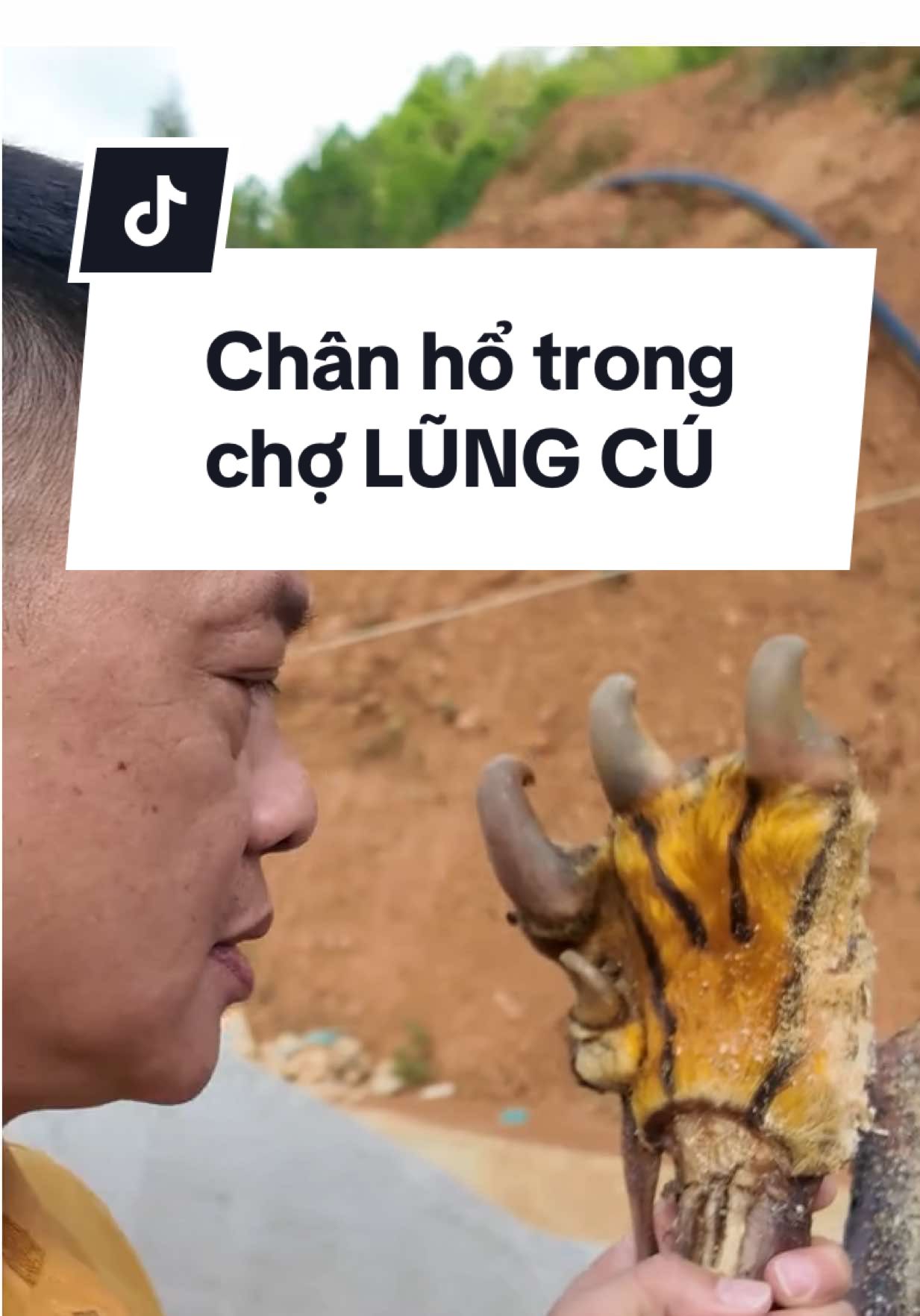 Lần đầu tiên trong cuộc đời mình được chạm tay vào móng hổ (không biết là real hay giả) nữa  #comeminhvietnam #tranquangminh #btvquangminh #cmvn #xuhuong 