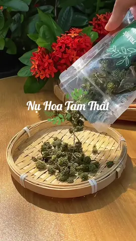 Ai hay mệt mỏi, căng thẳng, mất ngủ thì nên biết đến Nụ Hoa Tam Thất #nuhoatamthat #nuhoatamthatbaotu #nuhoatamthatbac #trathaomoc #healthylifestyle 