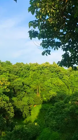 ☘️🍀🥰💖#viralvideo #following #foryoupage #পাহাড় #Bangladesh 
