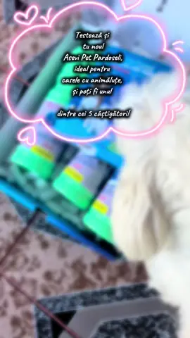 Curățenie, parfum plăcut și premii grozave? Da, te rog! 🧼🐾 Testează și tu noul **Asevi Pet Pardoseli**, ideal pentru casele cu animăluțe, și poți fi unul dintre cei **5 câștigători** ai unui an de Asevi Pet Pardoseli + un **voucher de 400€** pentru răsfățul blănosului tău! 💚 👉 Tot ce trebuie să faci: 1️⃣ Cumpără Asevi Pet Pardoseli 2️⃣ Intră pe **leapsacurateniei.ro** și completează formularul 3️⃣ Păstrează bonul fiscal Hai și tu în #LeapsaCurateniei și transformă curățenia într-o joacă alături de lăbuțele fericite din casa ta! 🐕✨ #BUZZ_AseviPet #AseviPet #AseviRomania #LeapsaCurateniei    @BUZZStore @Asevi România 