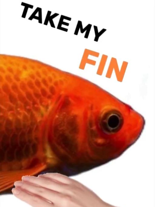 𓆝 𓆞 𓆞 hurry before fish eats them all! ~ 𓆝 𓆞 𓆞 #mEmE #aNiMaL #food #FiSh #funny