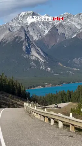 لك هاجس الذكرى سرق عني النوم..#يوميات_اردني_في_كندا #canada #america #trend #foryou 