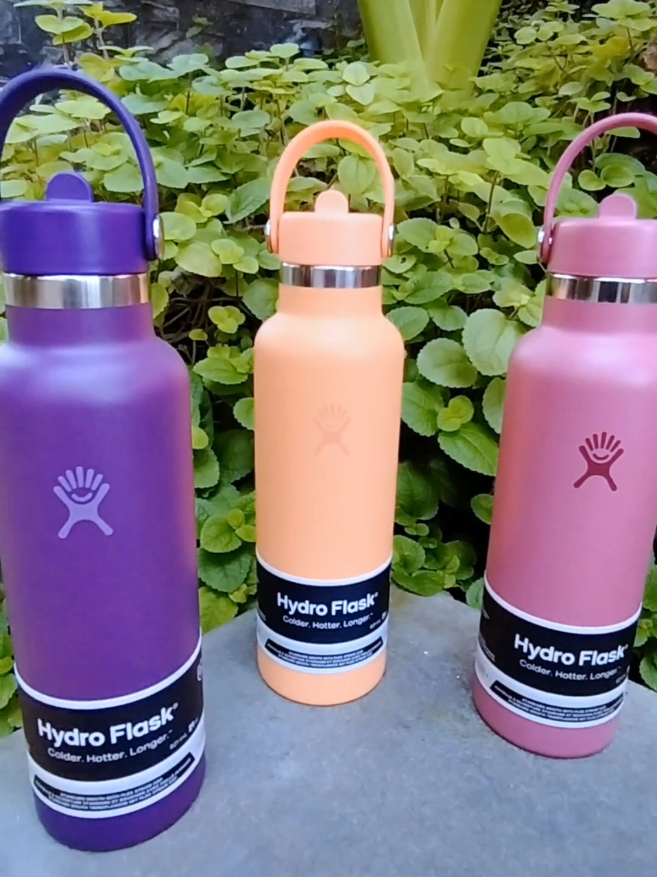 3 สีใหม่🌿💙 Hydro flask Standard mouth flex Straw cap 21 oz 621 ml ดื่มน้ำง่าย ด้วยฝาแบบดูด ใซส์จุกำลังดี ทรงสวย เก็บเย็นดีมาก ลุยไปด้วยกันได้ทุกที่ #hydroflask #Hydroflask #hydroflaskthailand #ใช้ดีบอกต่อ #แก้วเก็บความเย็น 