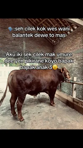 #promoseruweekend #fyppppppppppppppppppppppp #fypp #viral #fffffffffffyyyyyyyyyyypppppppppppp 