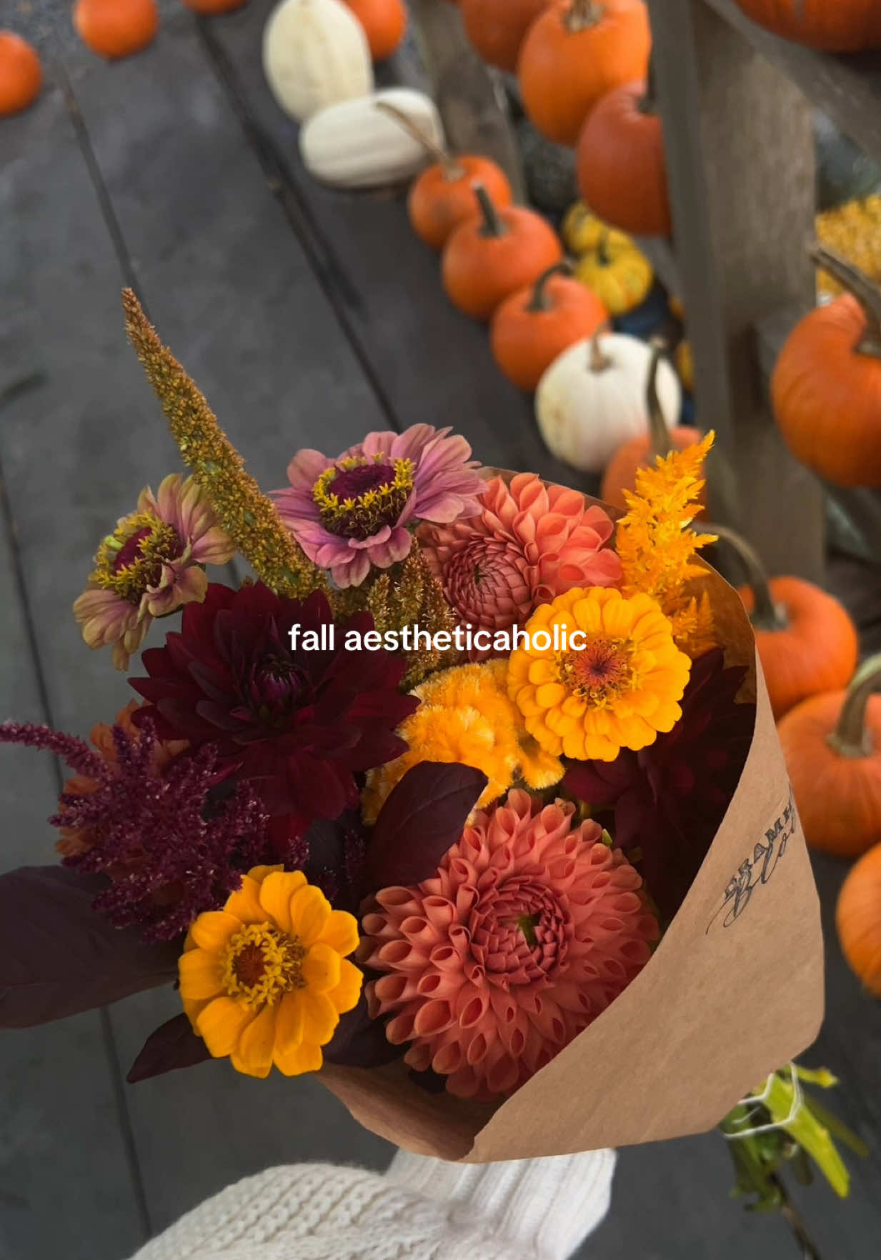 i love fall. #aesthetic #fallaesthetic #fall 