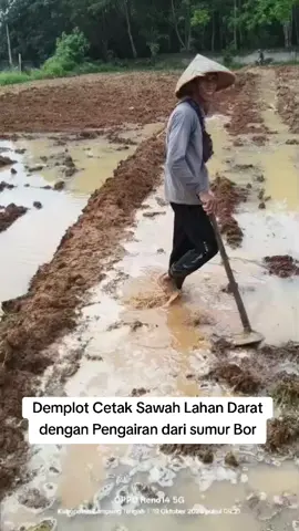 Semoga Dapat Memotivasi Para Petani dan Masyarakat Indonesia #taksulampung #dprri #drhiketutsuwendra #iketutsuwendra #fyp 