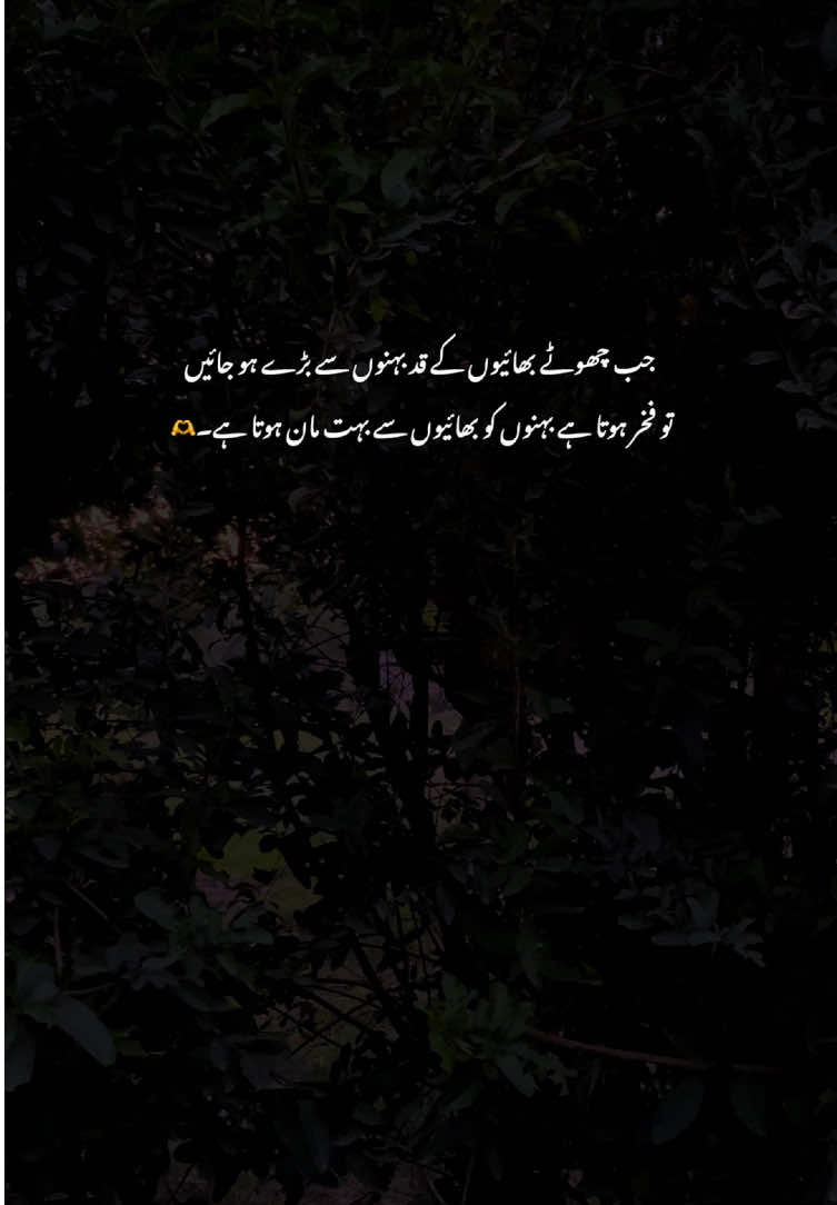 🫶🥺#poetry #fyp #grow #viralvideos #aestheticvideos 