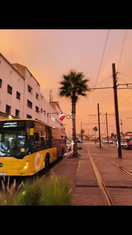 #fypシ #fyp #fypシ゚ 