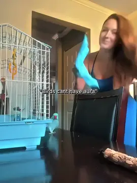 Song (Funk criminal) first one got aura #birds #foryou #fyp #aura #brazilianphonk 