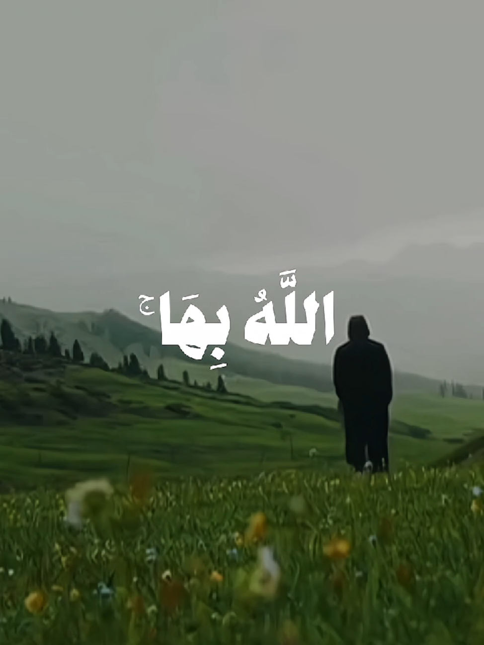 ﴿ وَأُخْرَىٰ لَمْ تَقْدِرُوا عَلَيْهَا قَدْ أَحَاطَ اللَّهُ بِهَا ۚ وَكَانَ اللَّهُ عَلَىٰ كُلِّ شَيْءٍ قَدِيرًا ﴾ [سورة الفتح: 21] القارئ: محمد ايوب ‌ #قران_كريم #quran #محمد_ايوب #قرآن #foryou 