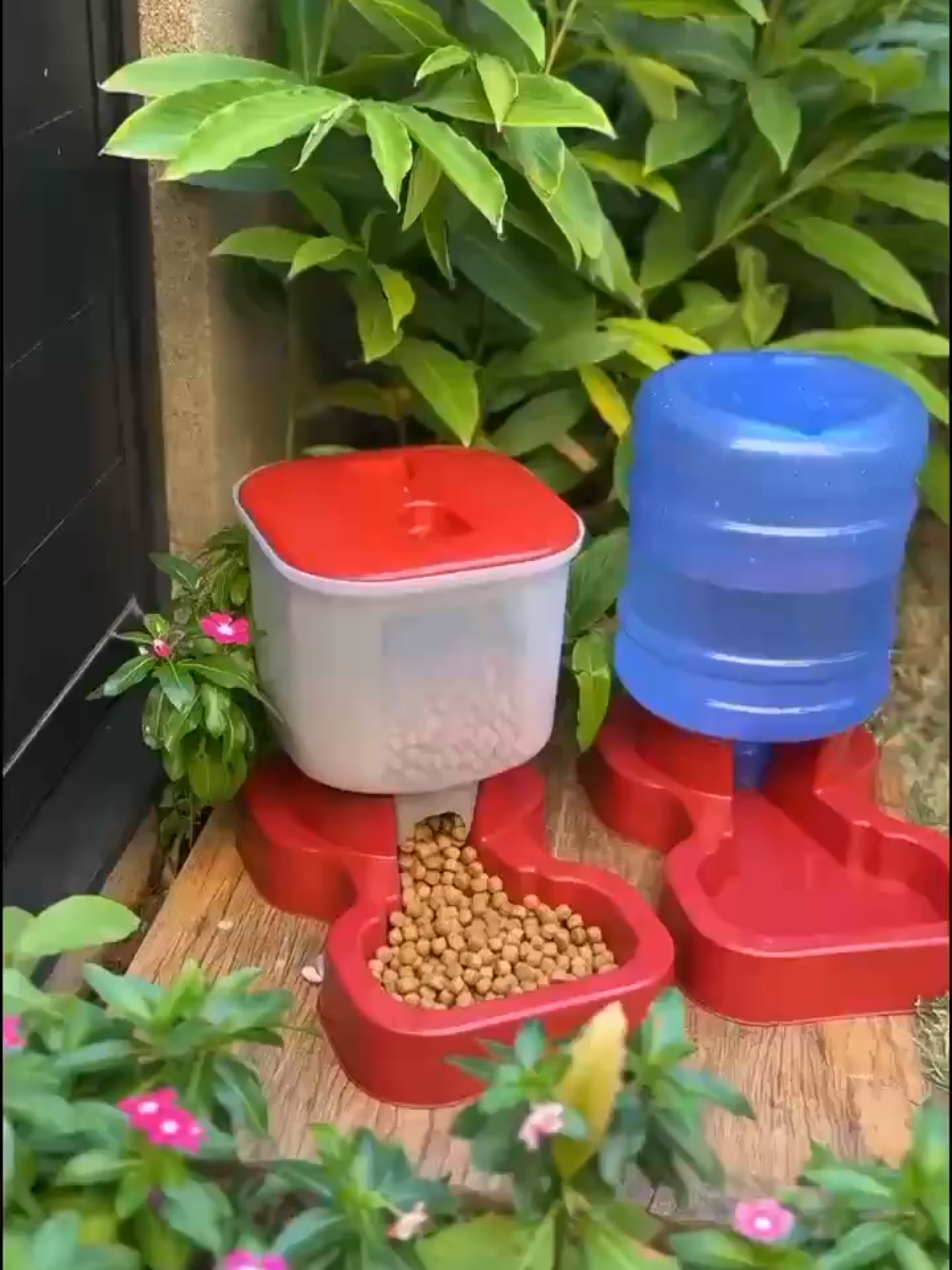 Agora quando você precisar trabalhar ou viajar ✈️🧳 Seu Pet ficará bem alimentado e hidratado, com nosso Kit Comedouro e Bebedouro Automático para Cães e Gatos 🐕🐈 Link do produto ↙️(copie e cole no seu navegador) https://s.shopee.com.br/7V7nuKVdQJ >  Link Fixado nos Comentarios <