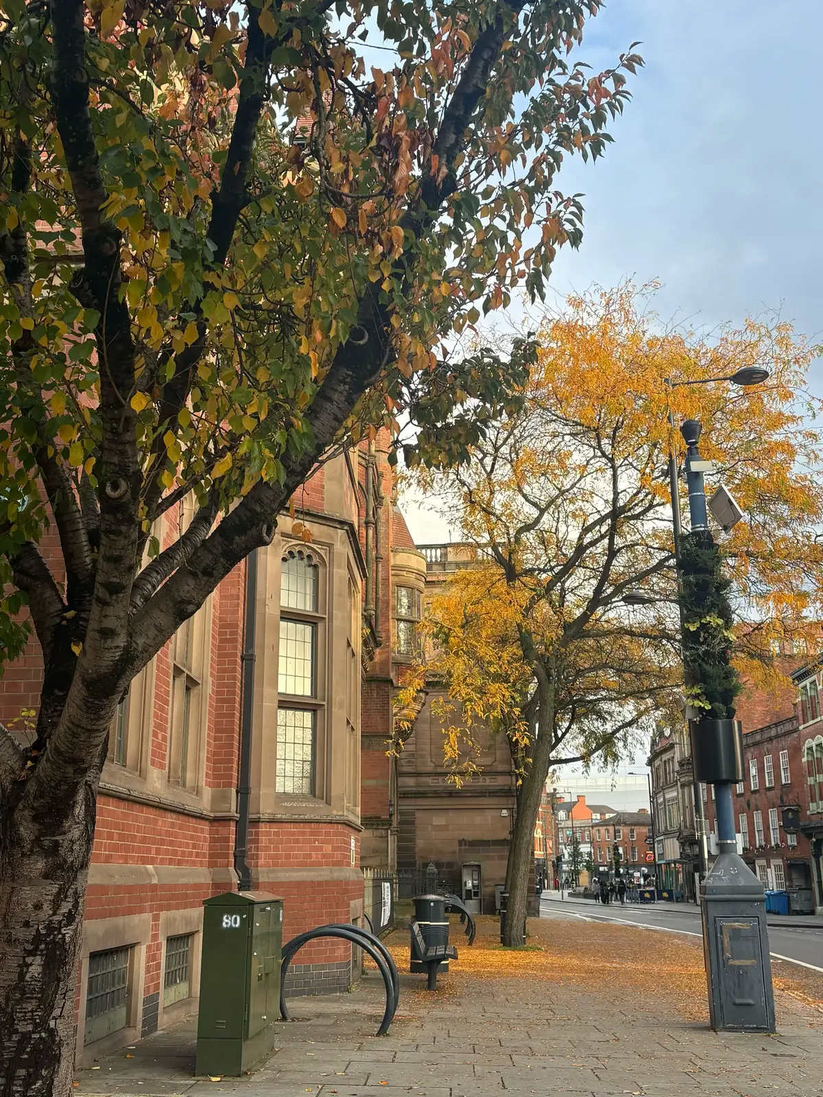 #fyp #autumn #fall #october #unitedkingdom 