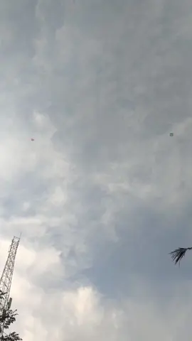 asyikeee #layangan #pelayangcilacap #musimlayangan2025 #sendaren #sendarenpitakado 