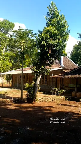 suasana kampung#suasanapedesaan #kampunghalaman #nostalgia90an #lewatberandafyp #tiktokfyp 