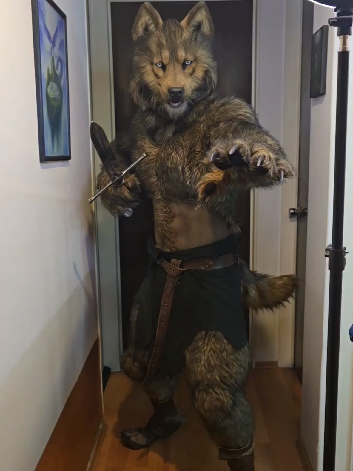 Barbarian Werewolf Warrior preview.  #costume #Halloween #wolf #d&d #sword #hombrelobo #cosplay #beast  #viking 