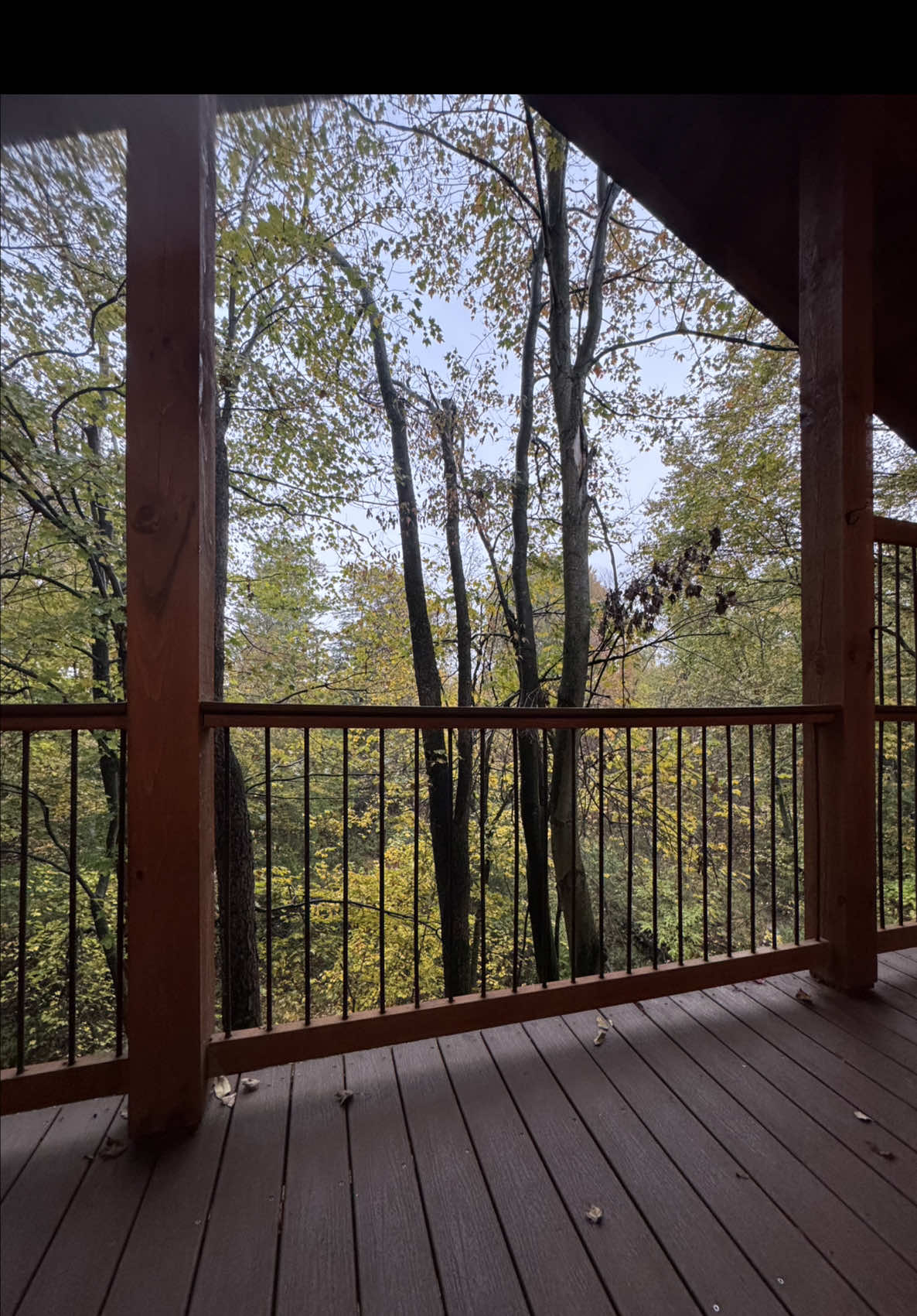 I always knew I’d be apart of something great @Sophia James #group7 #fyp 