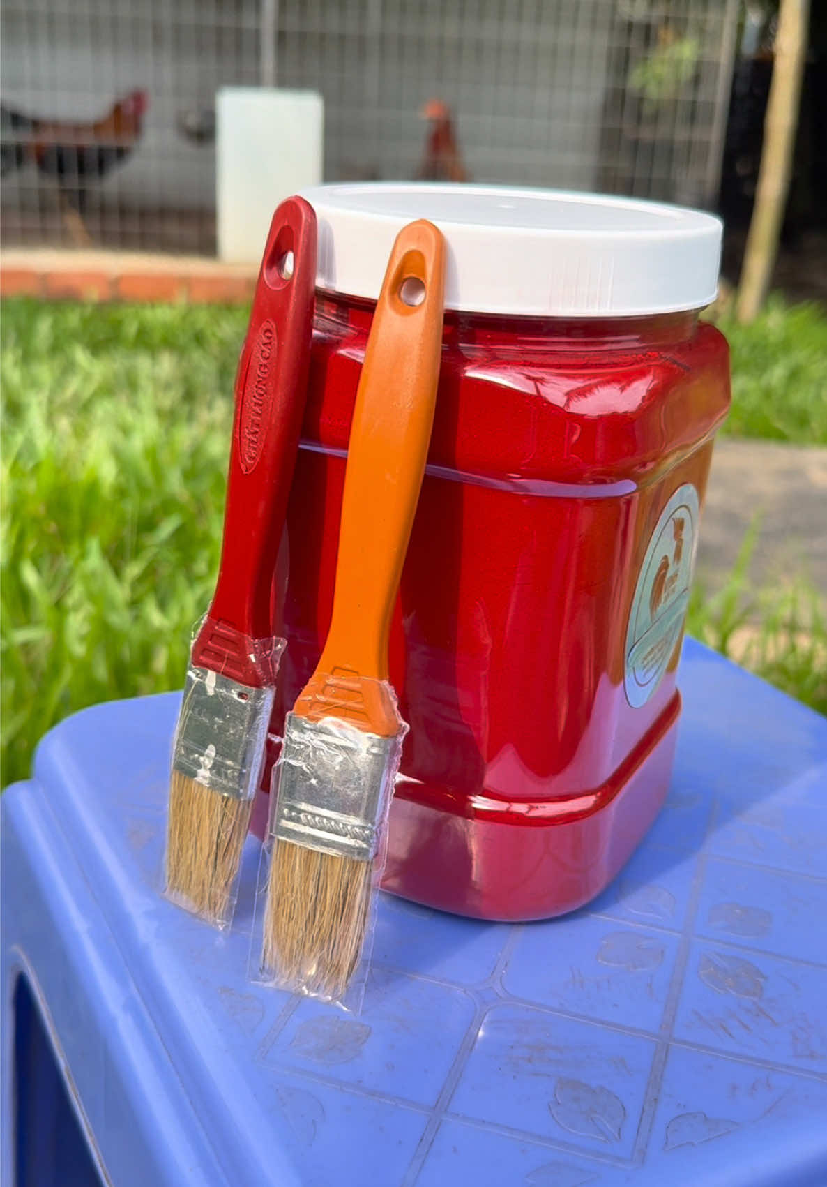 Nghệ bột đỏ cho anh em nuoo gà nha ! Ở giỏ hàng nha ae #vuicungtiktok #nghebot 