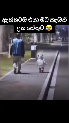 ඇත්තද මේ කියන්නෙ ගර්ල්පෙන්ස්ලා ඈ? 😂😂#fyppppppppppppppppppppppp #viral #fyp #trending #foryou 