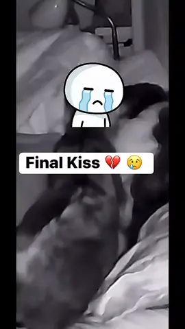 #LIVEIncentiveProgram #LIVEMonetization #PaidPartnership 