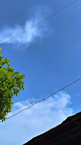 Mong spek harian#fyp #masukberanda#cbindonesia #foryou #cbnyeni 