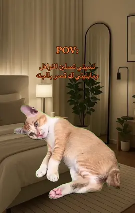 اللهم ثبتنا على عباداتك🧡#fyppppppppppppppppppppppp #stitch #foryoupage #foryou #fyp 