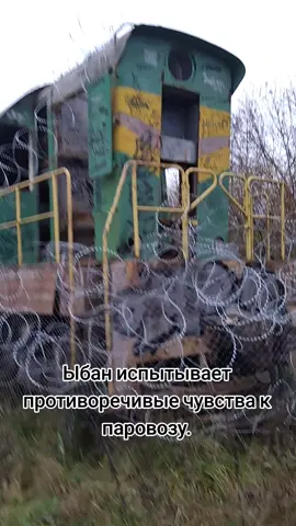 паровоз#паровоз#иллюзия