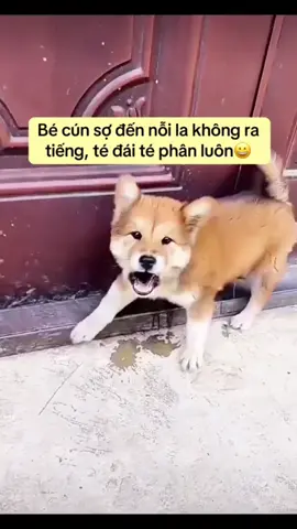 Tôi sợ rồi….Chị đừng…N.H.Á.T…Kui nữa…..