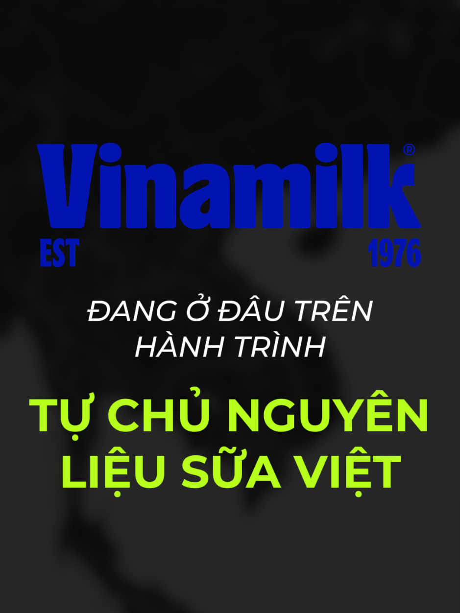 Vinamilk có thực sự tự chủ được nguồn nguyên liệu sữa Việt? #vinamilk #maikieulien #suabo #kinhte #vnm 