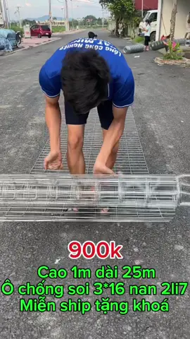 L.h o981.115.838 lưới kẽm Hoà Phát nhúng nóng làm hàng rào, chuồng trại chăn nuôi…#TikTokAwardsVN #gàchoivietnam🇻🇳 #gàchiến #gà #gàchọiviệtnam 