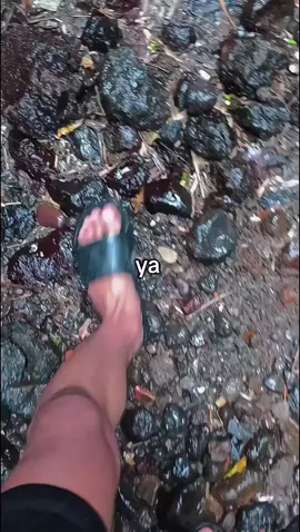 ya jeleh ya gumoh mbarang  #viral #soundvirall #ngapak #julid 