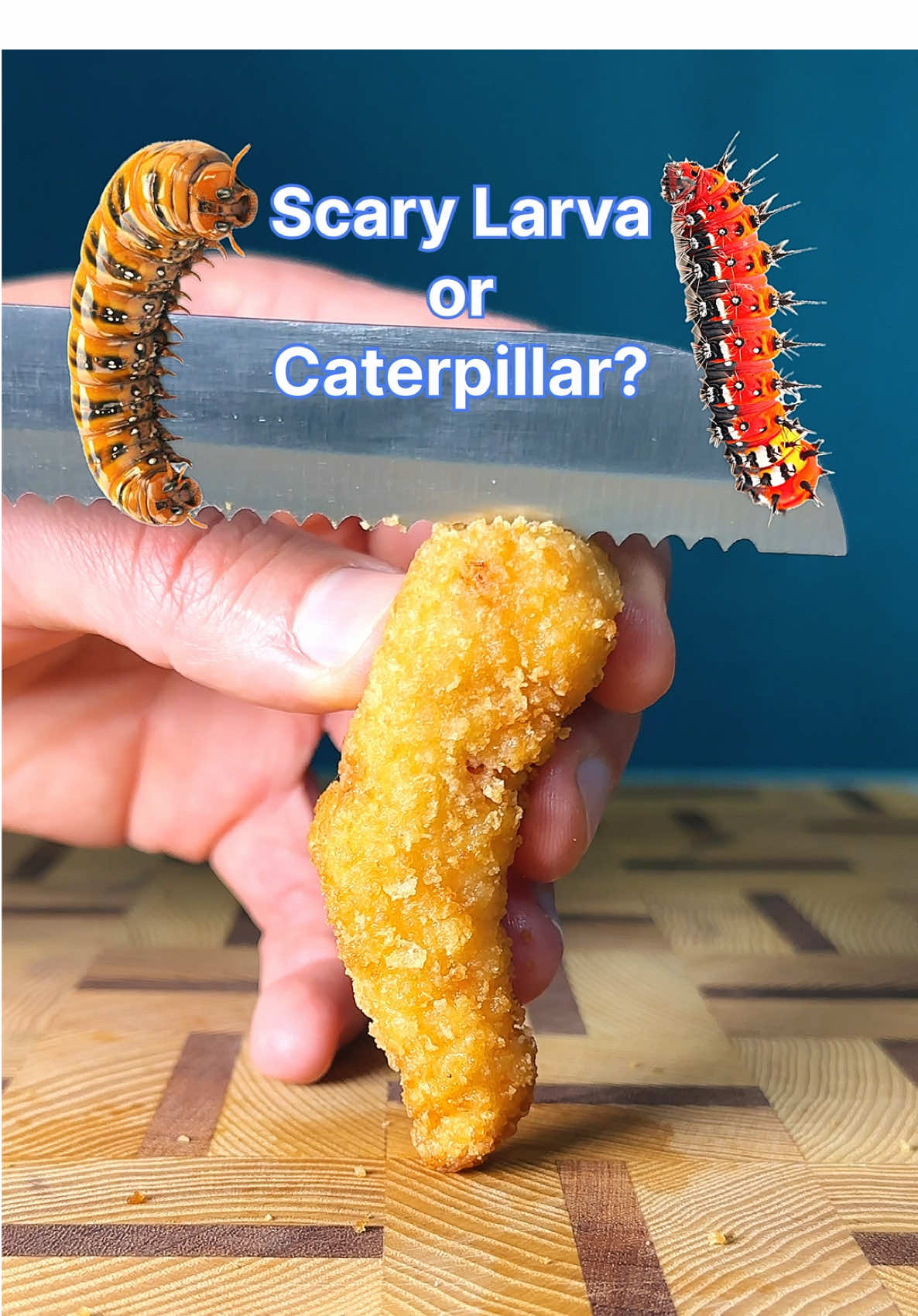 Scary Larva or Caterpillar?🐛#OddlySatisfying #guessinggame #kitchenchaos 