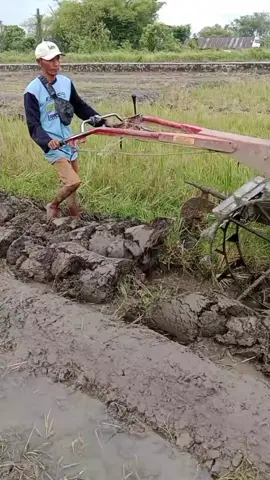 KONCO TANI #masukberandafyp #berandafyp #viraltiktok #fypage #berandatiktok 