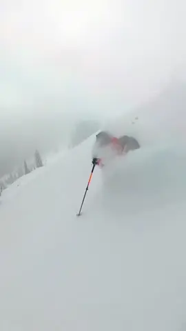 Powder Days are coming #skiing #snow #colorado #mountains #ski 