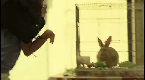 ‏היחידה מנסה להציל את בועז #היחידה #פאודה #חלקים #חלק#