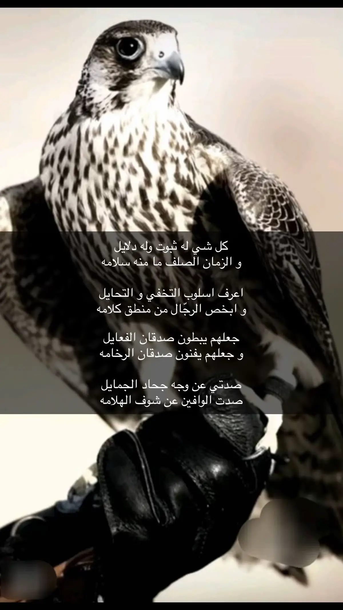 #اكسبلورexplore #قصايد_شعر #حكم #عزة_النفس #مساء_الخير 